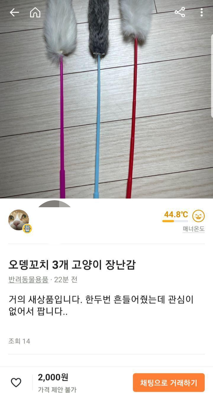  고양이 집사들 당근마켓에서 특징
