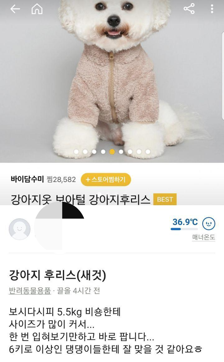 고양이 집사들 당근마켓에서 특징 | 인스티즈