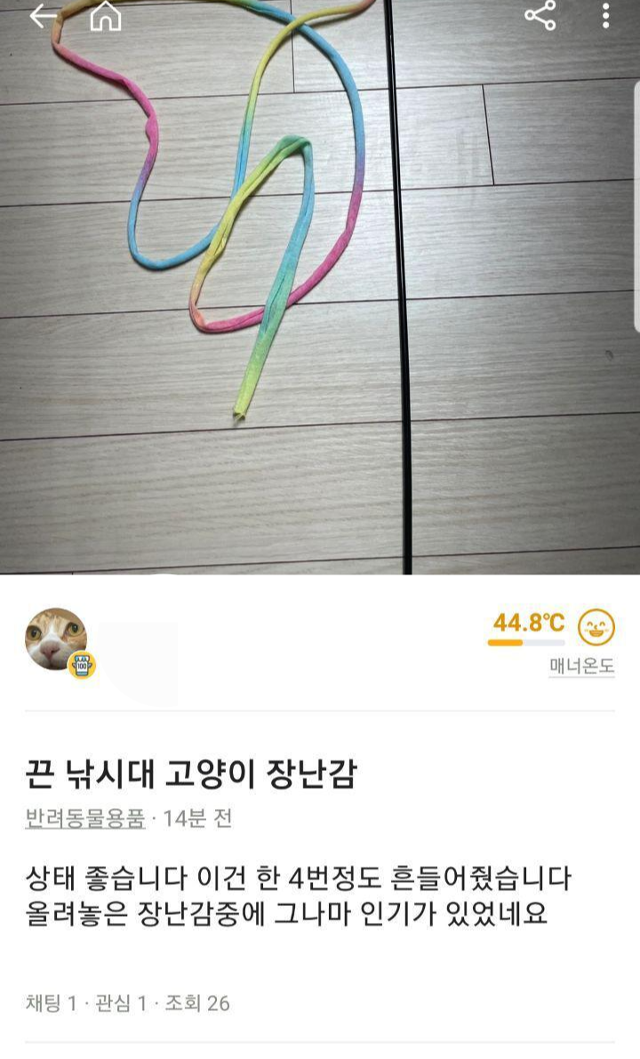 고양이 집사들 당근마켓에서 특징 | 인스티즈