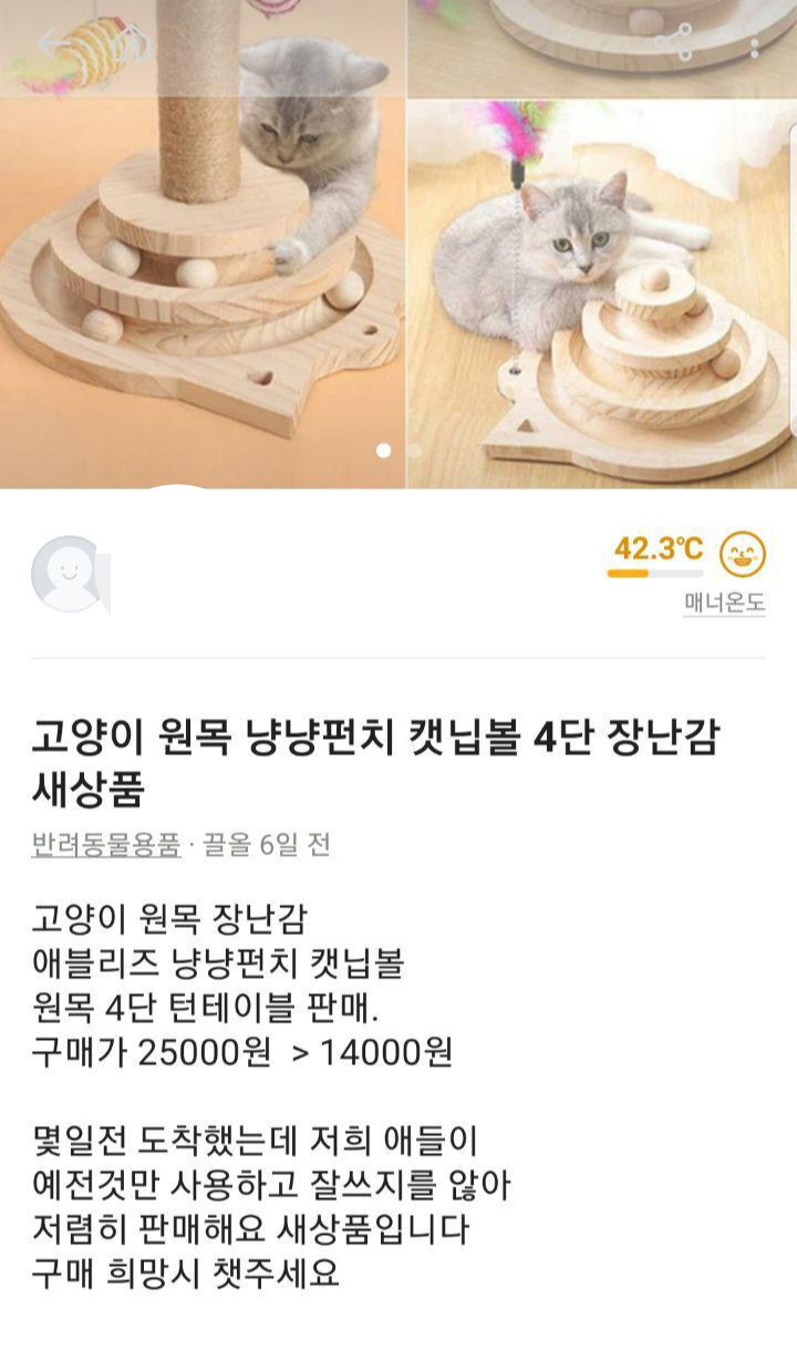 고양이 집사들 당근마켓에서 특징 | 인스티즈