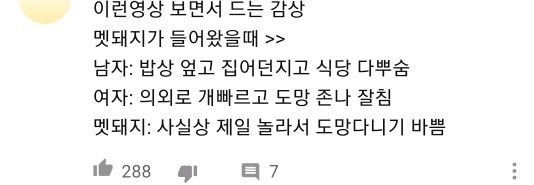 감자탕 먹다가 멧돼지가 처들어옴 | 인스티즈