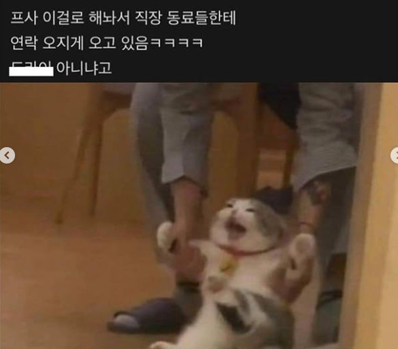 ㅋㅋㅋㅋㅋ내 친구 강제로 팀 이동 당하는데 | 인스티즈