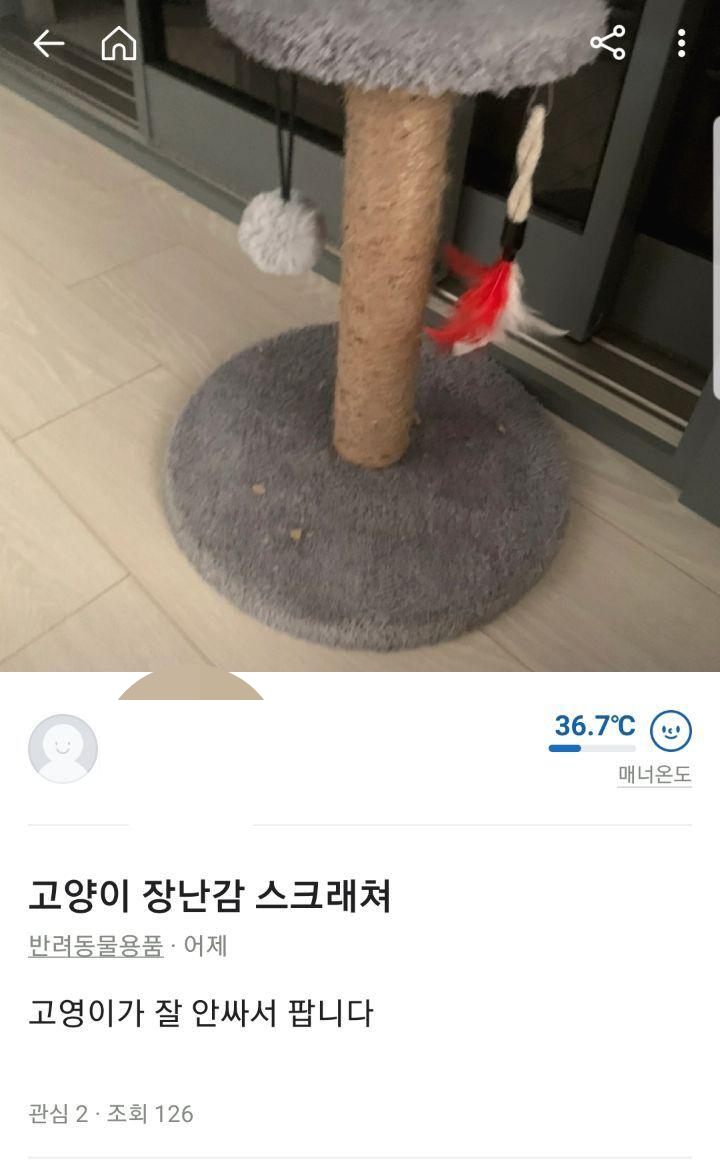 고양이 집사들 당근마켓에서 특징 | 인스티즈