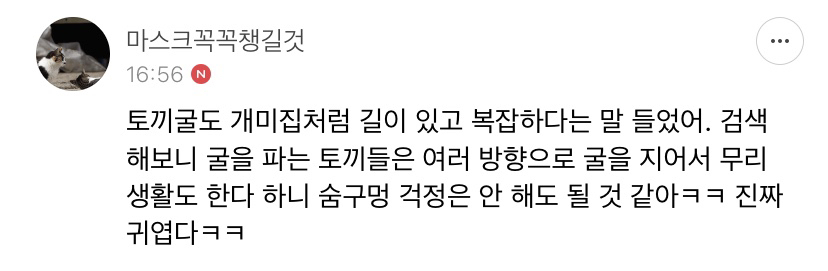 너무 귀엽고 신기한 토끼가 새끼를 지키는 방법 🐰 | 인스티즈