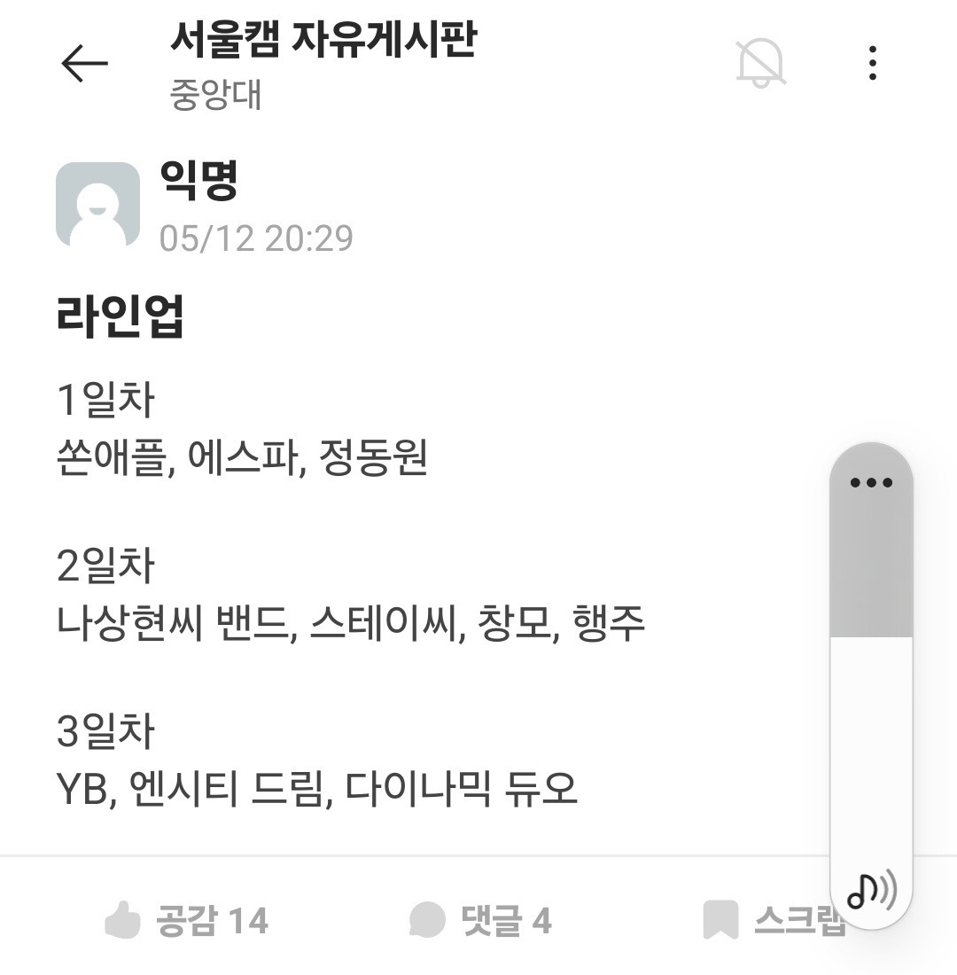 중앙대 축제 라입업.jpg | 인스티즈