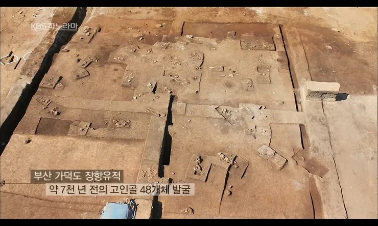 국립중앙박물관에는 실제 사람 뼈가 전시되어 있다 | 인스티즈