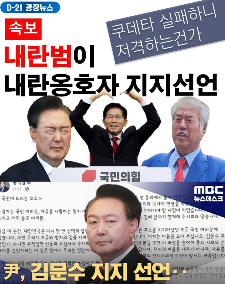  윤석열 김문수 지지 뉴스 댓글 모음
