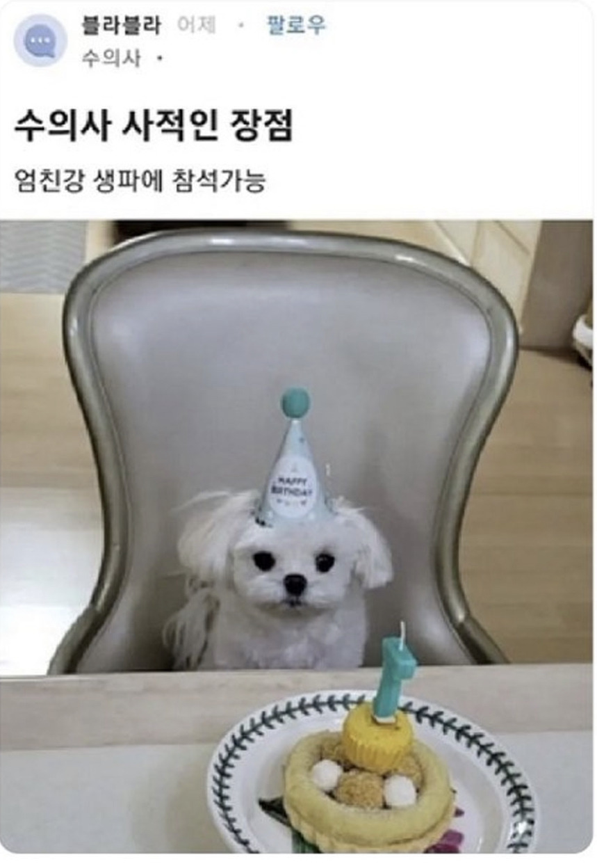  수의사 사적인 장점