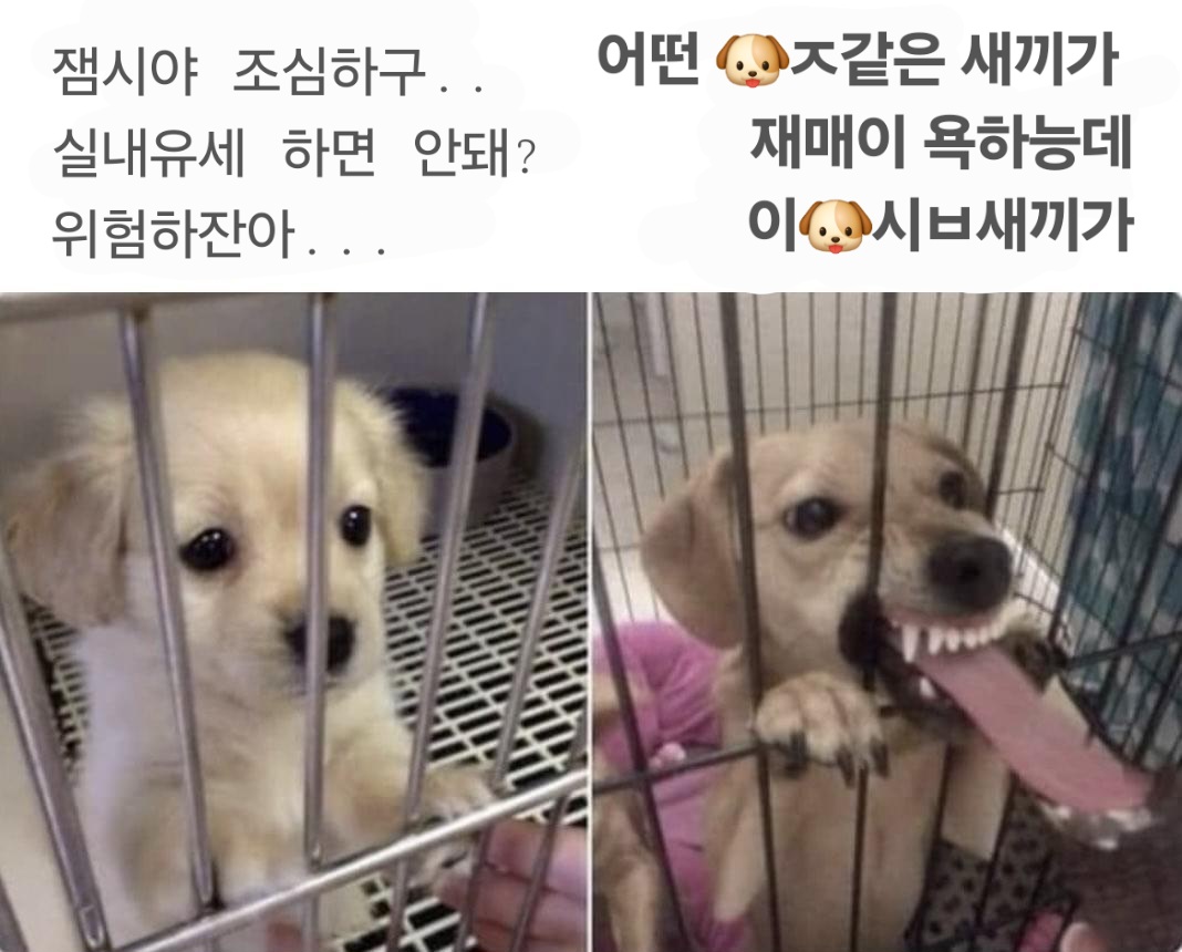  참지 않는 민주 시민