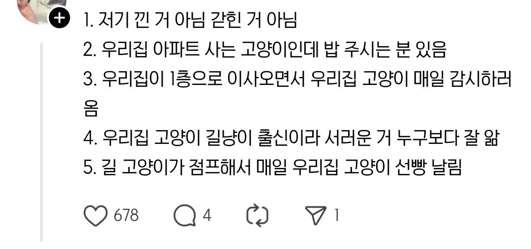 고양이랑 1층 살면 좋은 점.jpg | 인스티즈