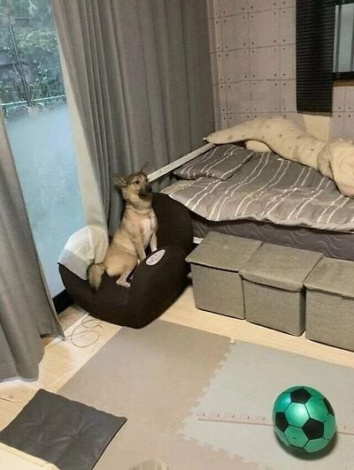  사고친 게 분명한데 물증이 없음