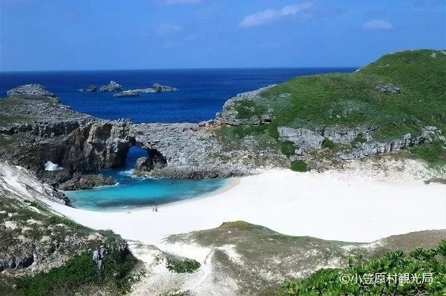 김수환 추기경의 학병시절 일화들 | 인스티즈