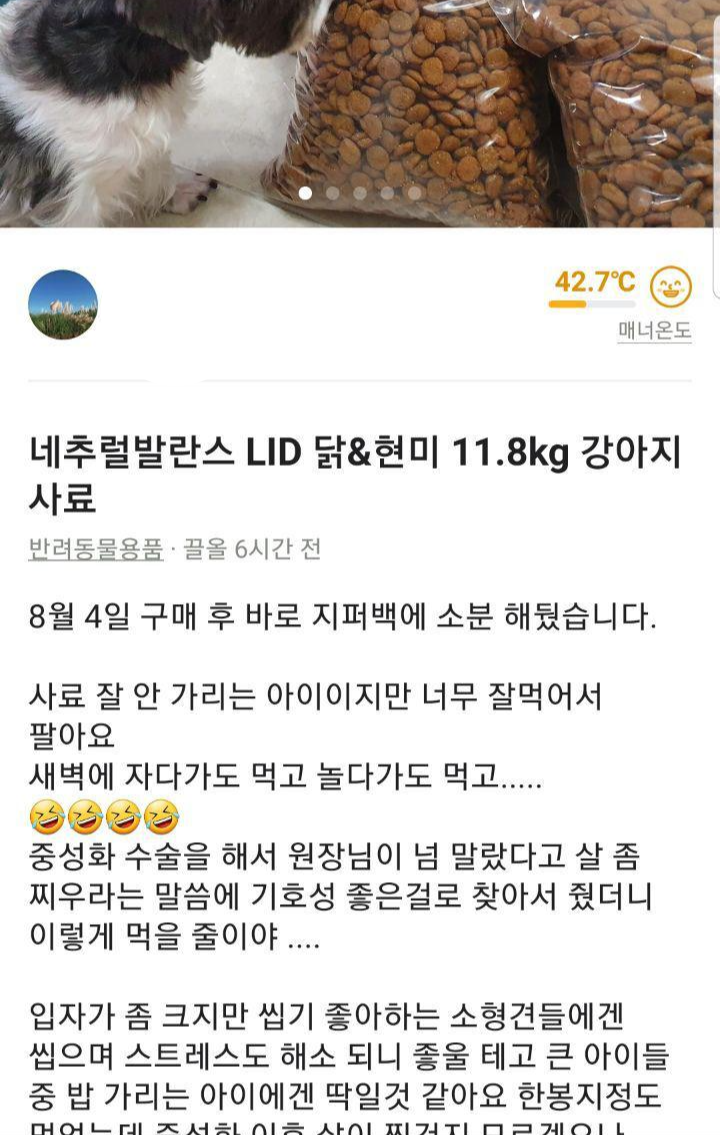 고양이 집사들 당근마켓에서 특징 | 인스티즈