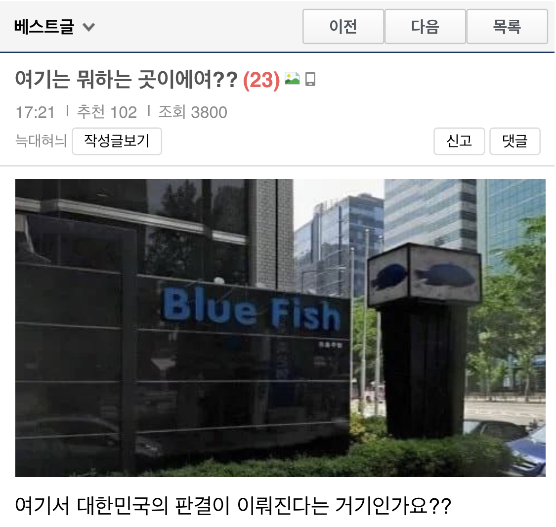 보배 여기는 뭐하는 곳이에요?