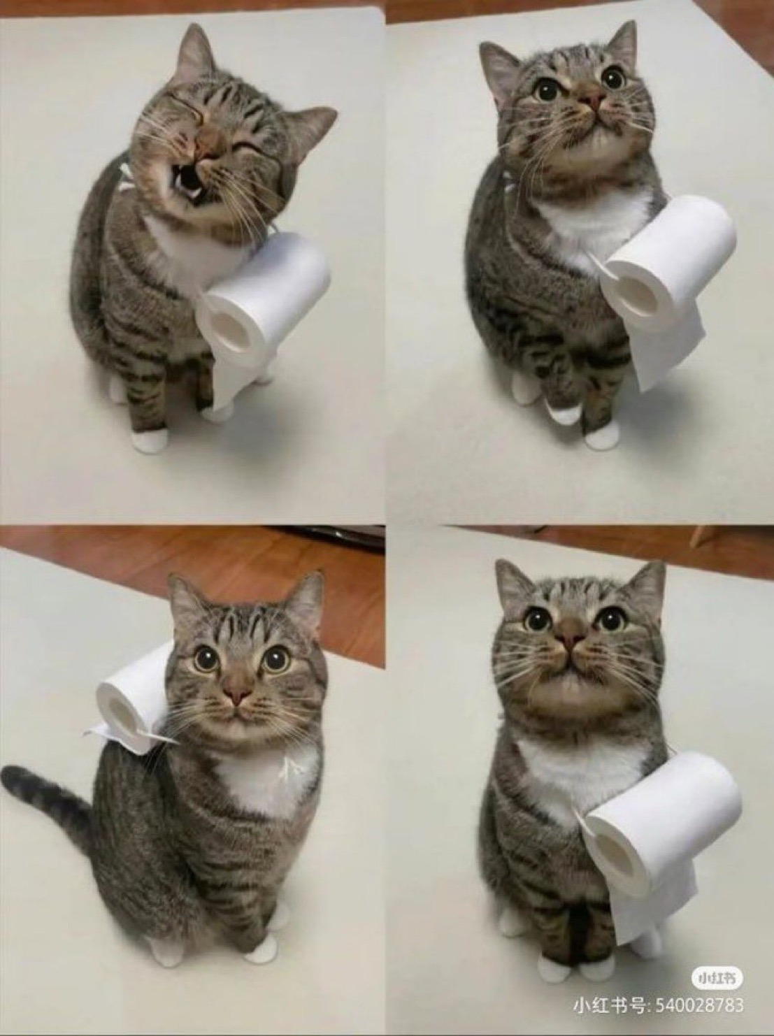  이동식 휴지걸이