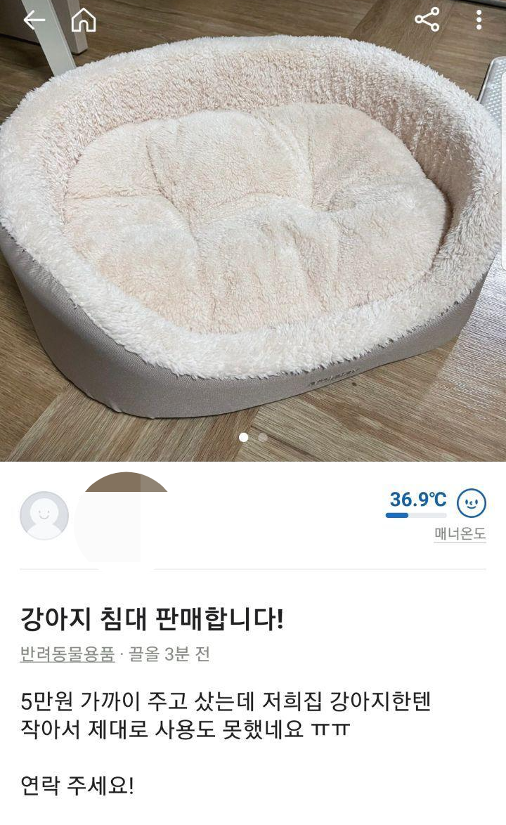 고양이 집사들 당근마켓에서 특징 | 인스티즈