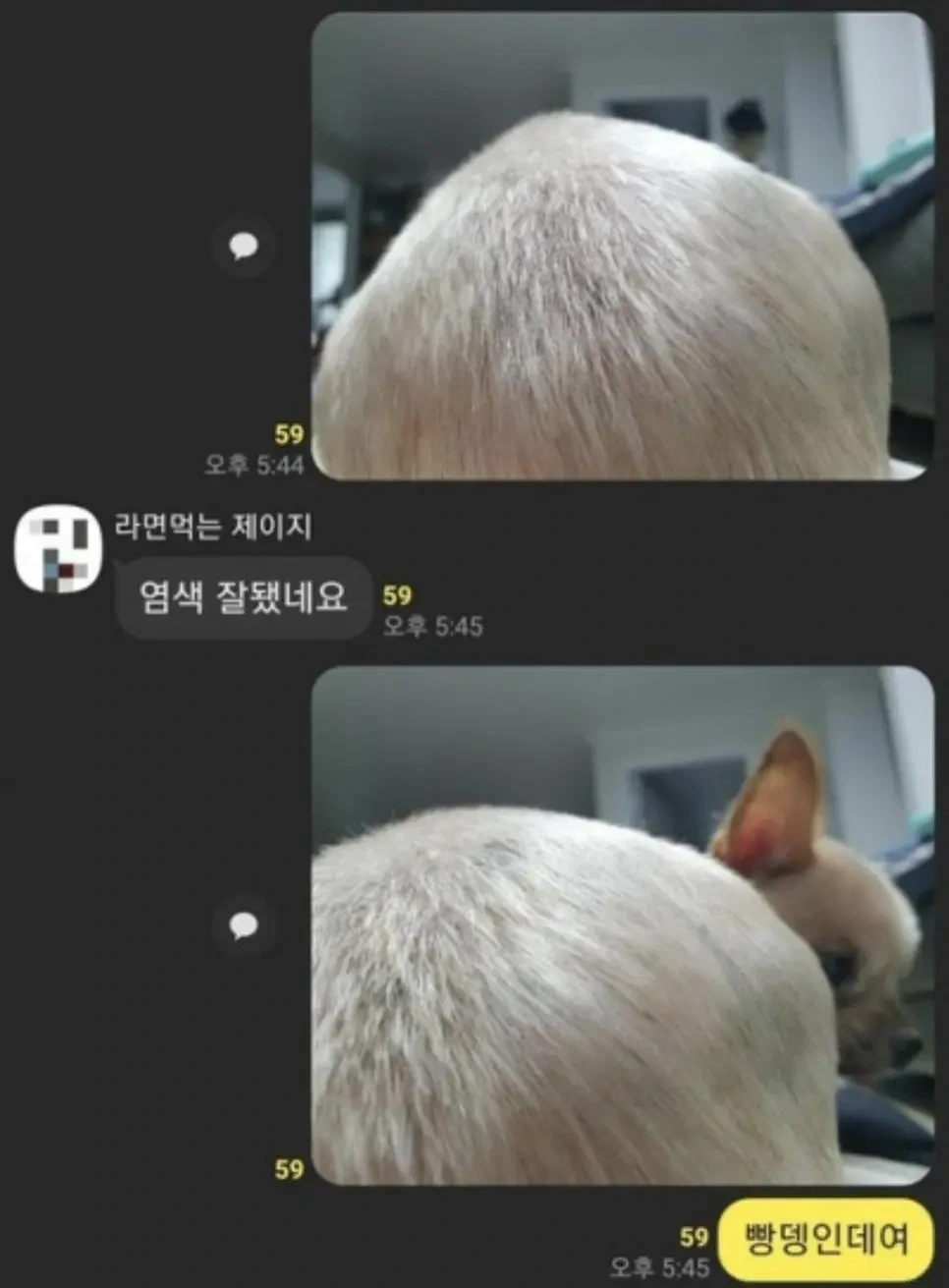  염색 잘되셨네요