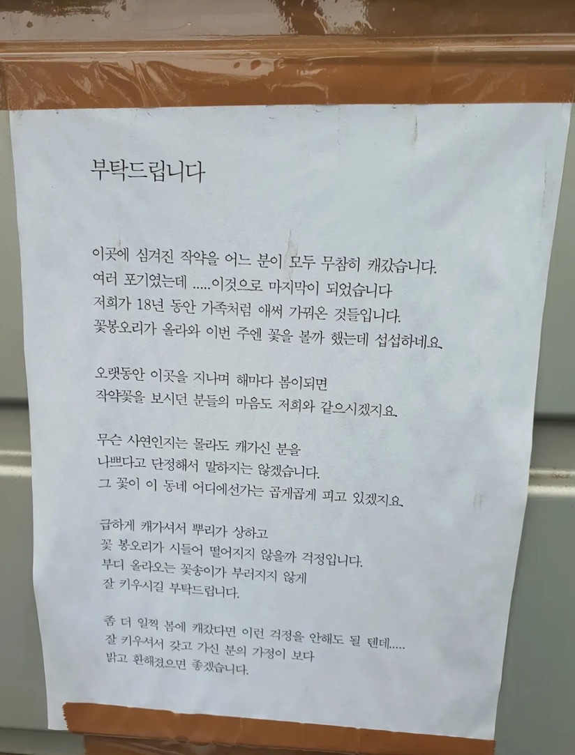 18년동안 키운 작약을 뽑아간 도둑에게 주인이 전하는 말