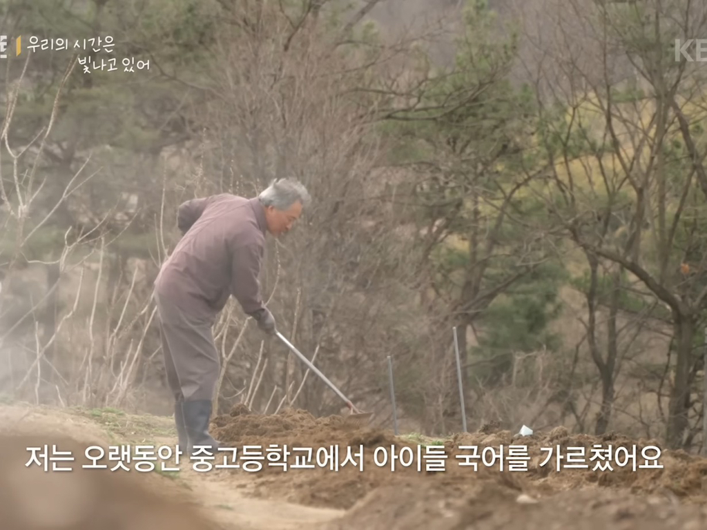 8살 '우리'와 70살 '종도'의 우정 (다큐인사이트 우리의 시간은 빛나고 있어) | 인스티즈