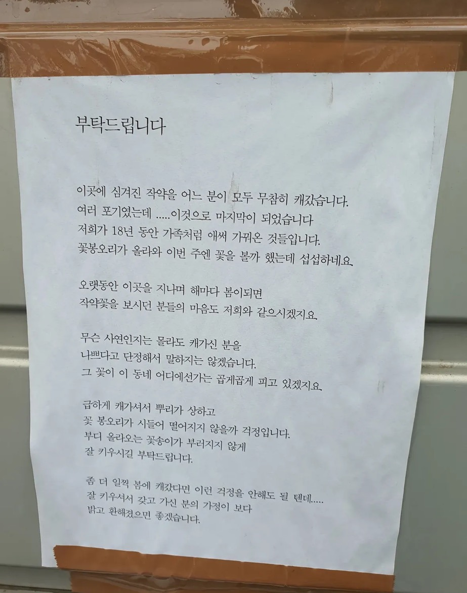  18년간 키운 작약을 훔쳐간 인간에게 쓴 편지3