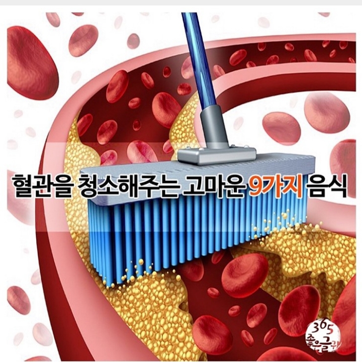  혈관을 청소해주는 고마운 9가지 음식2
