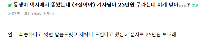  동생이 택시에서 똥쌌는데 기사님이 25만원 변상해달라함1