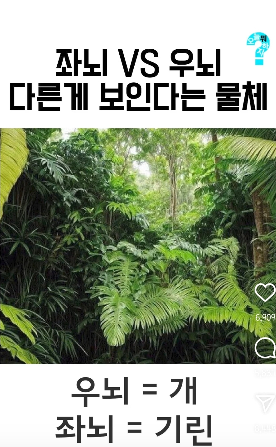 좌뇌 vs 우뇌 다른게 보인다는 물체 | 인스티즈