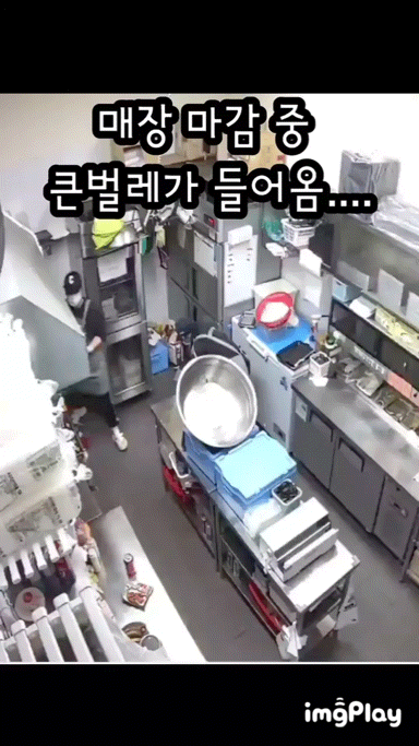 매장 마감중에 벌레가 들어와 사장님을 부름