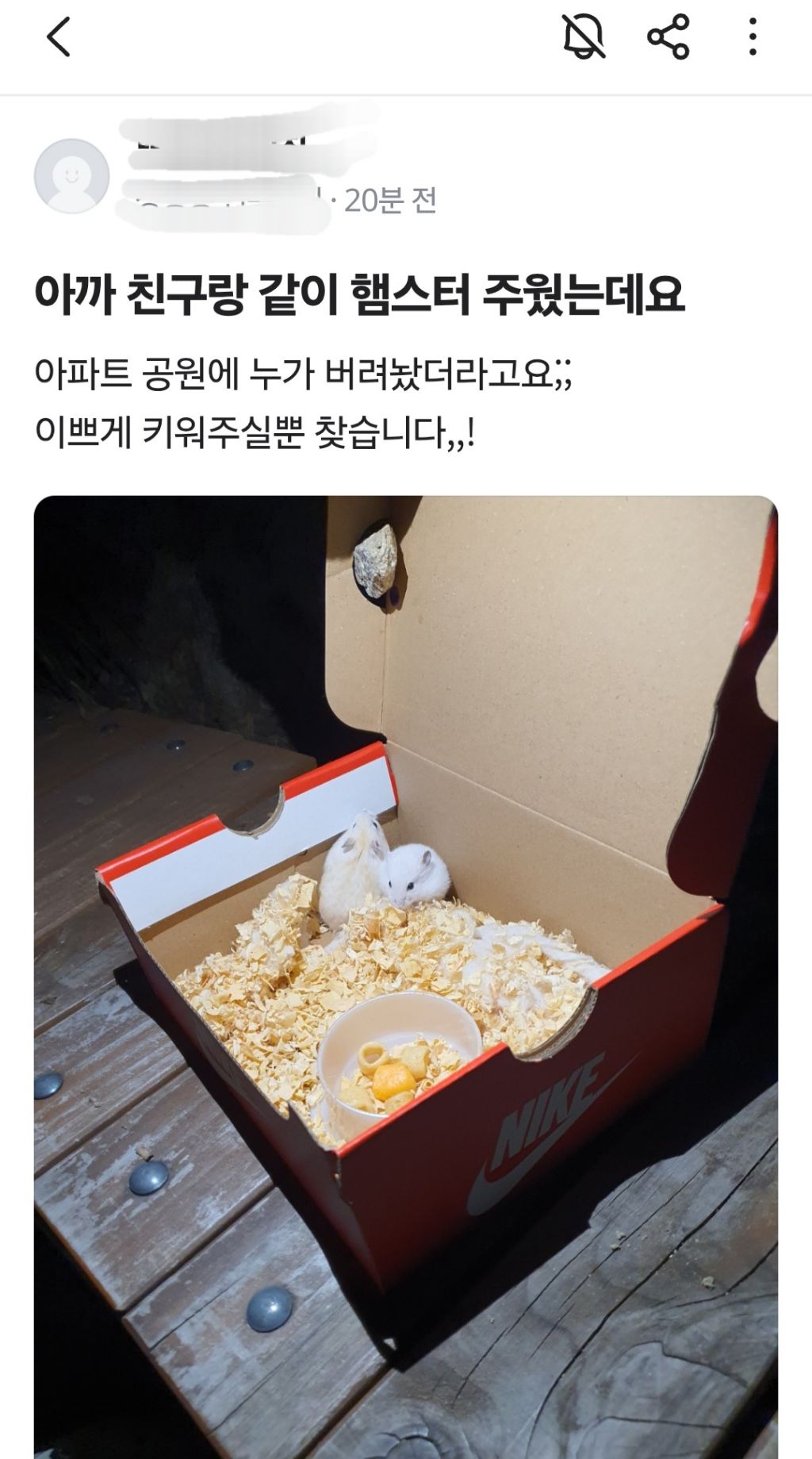  당근에 올라온 글