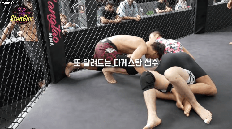 해외 훈련에서 일부러 강하게 나가는 김동현, 정찬성...JPG | 인스티즈
