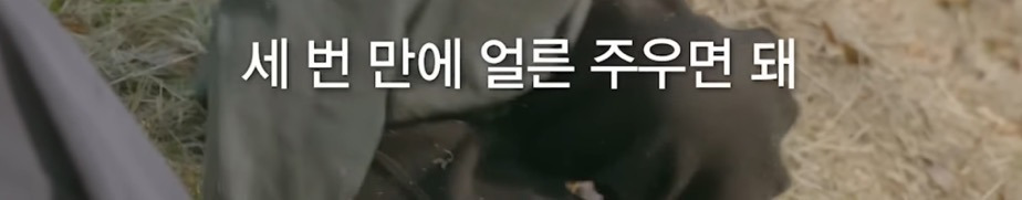 8살 '우리'와 70살 '종도'의 우정 (다큐인사이트 우리의 시간은 빛나고 있어) | 인스티즈