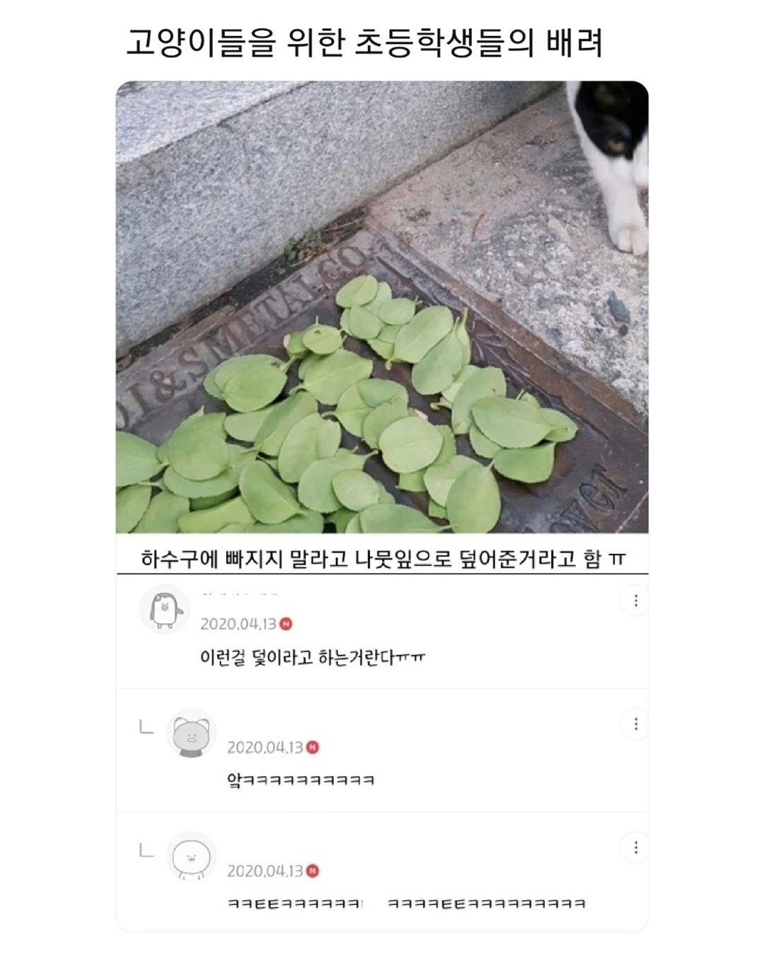  고양이를 위한 초등학생들의 배려.jpg1