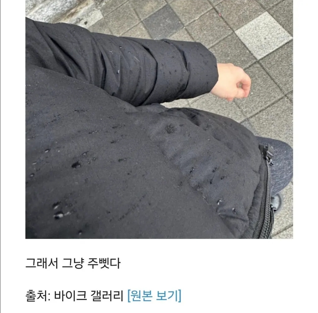 우산없이 비 맞는 할머니를 발견한 디씨인.jpg | 인스티즈