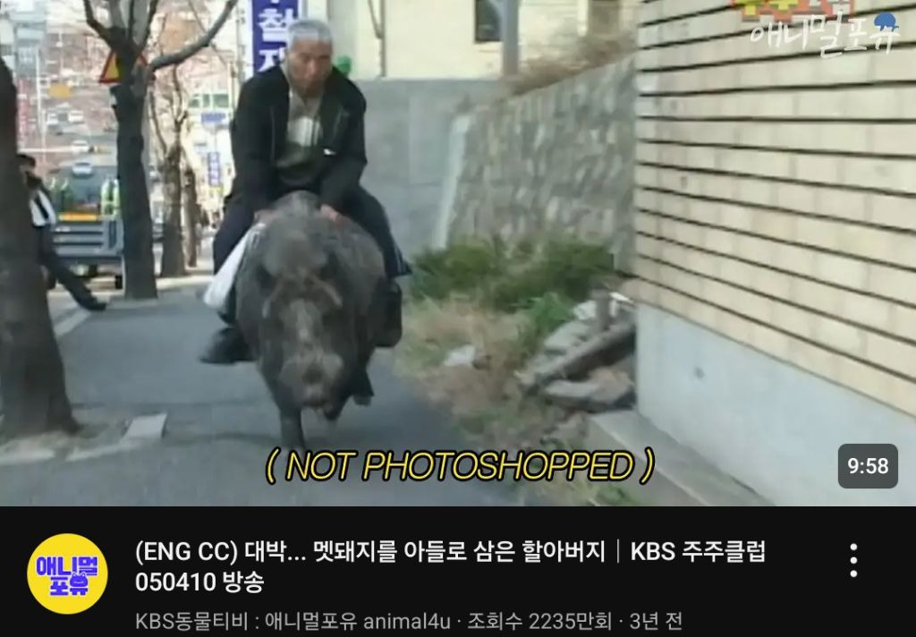  안 볼 수가 없는 썸네일