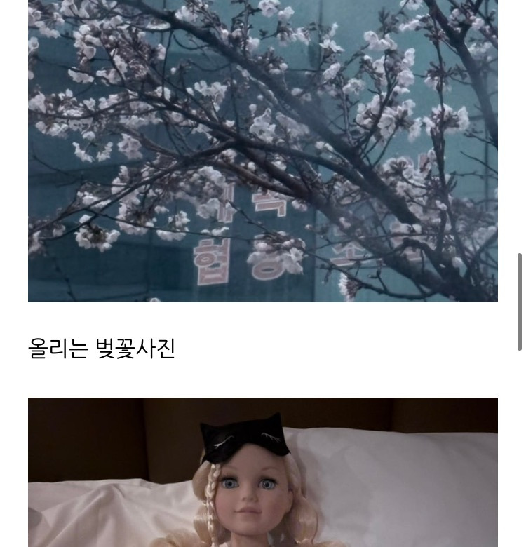 한소희 블로그 업데이트 | 인스티즈
