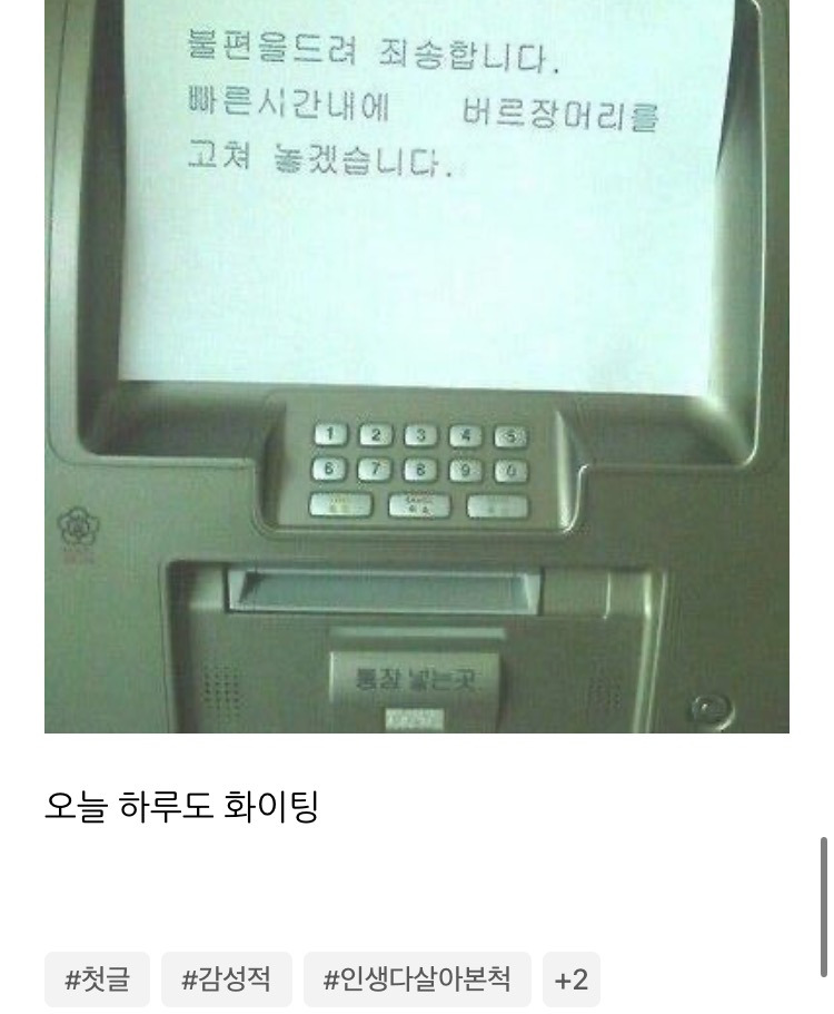 한소희 블로그 업데이트 | 인스티즈