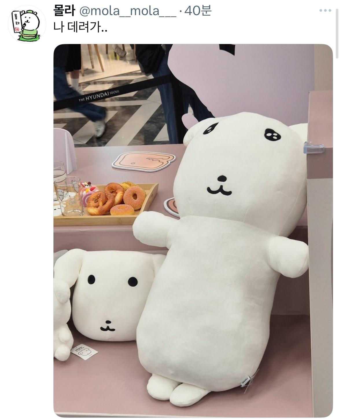  가나디 팝업에서 다들 거대 나안아 가나디 하나씩끌고다니는게 귀여워5