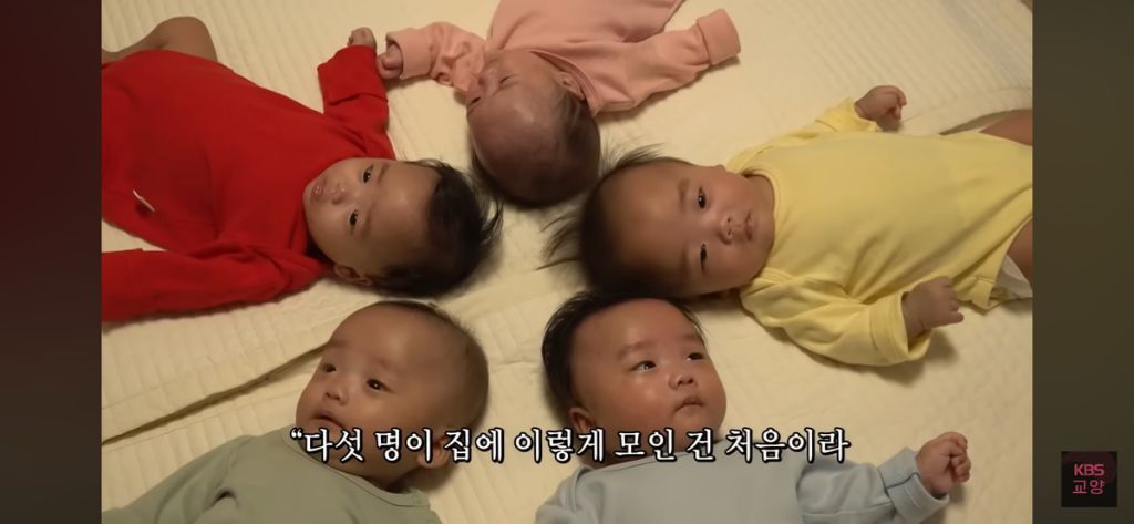 태어나서 처음으로 완전체가 된 다섯 쌍둥이 👶🏻 | 인스티즈