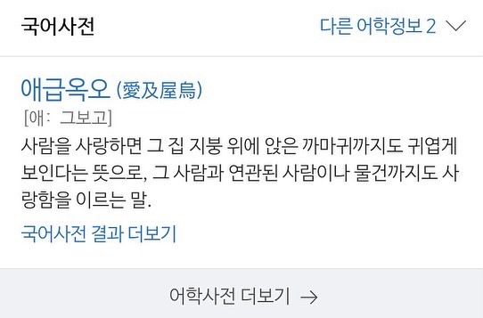 영원히 사랑하지는 않겠지만, 오늘은 사랑할게 | 인스티즈