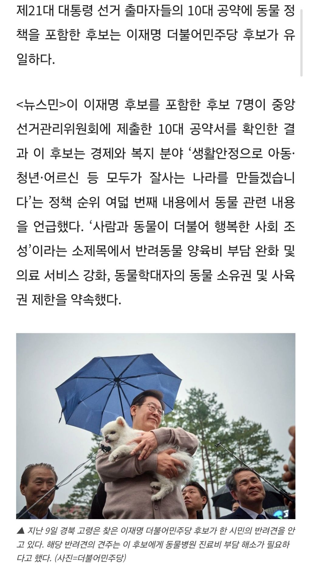 대통령선거 10대 공약서 '동물' 정책, 이재명 후보가 유일 | 인스티즈