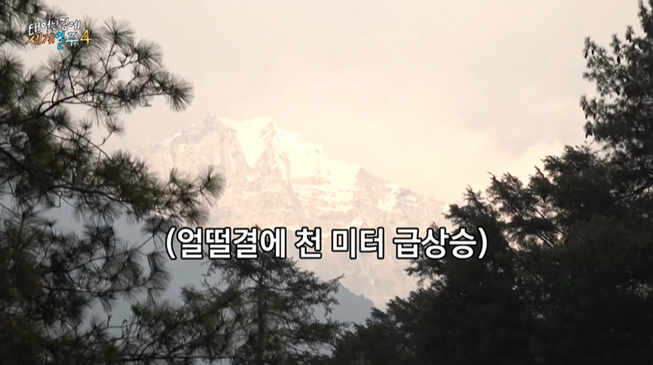 이번 태계일주에서 본때를 보여주고 있는 기안84...jpg | 인스티즈