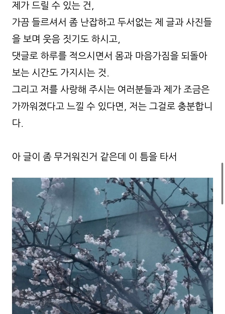 한소희 블로그 업데이트 | 인스티즈