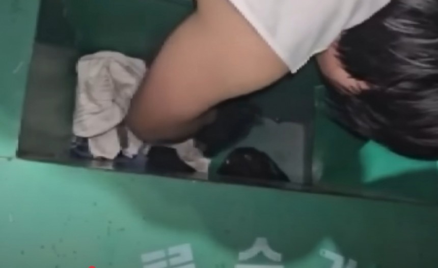 헌옷수거함 봉지 속에서 '낑낑'…버려진 강아지들 마지막 몸부림 | 인스티즈