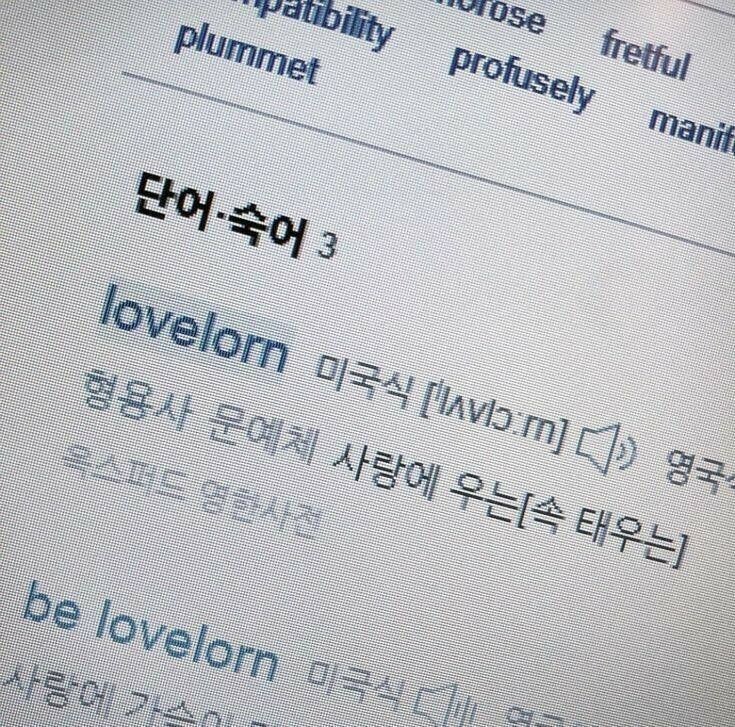 영원히 사랑하지는 않겠지만, 오늘은 사랑할게 | 인스티즈
