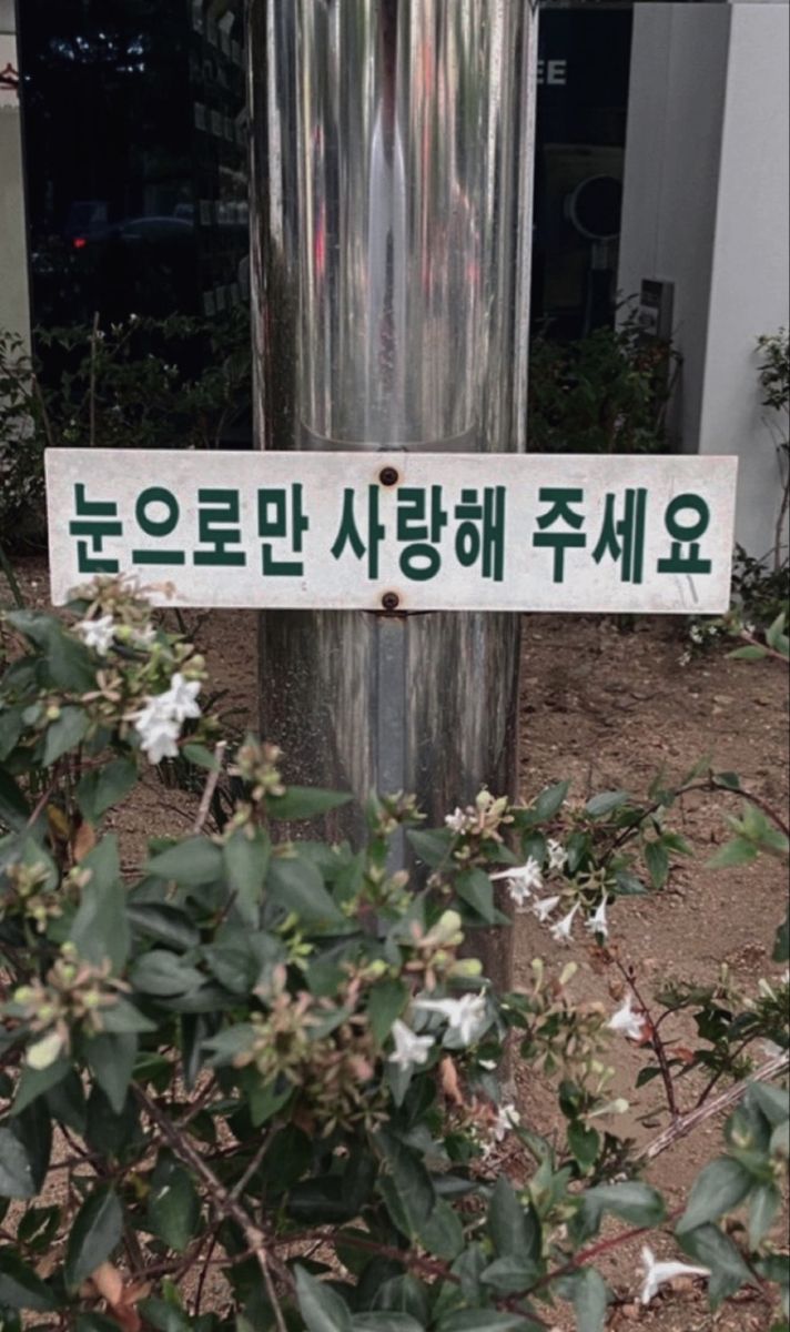 영원히 사랑하지는 않겠지만, 오늘은 사랑할게 | 인스티즈