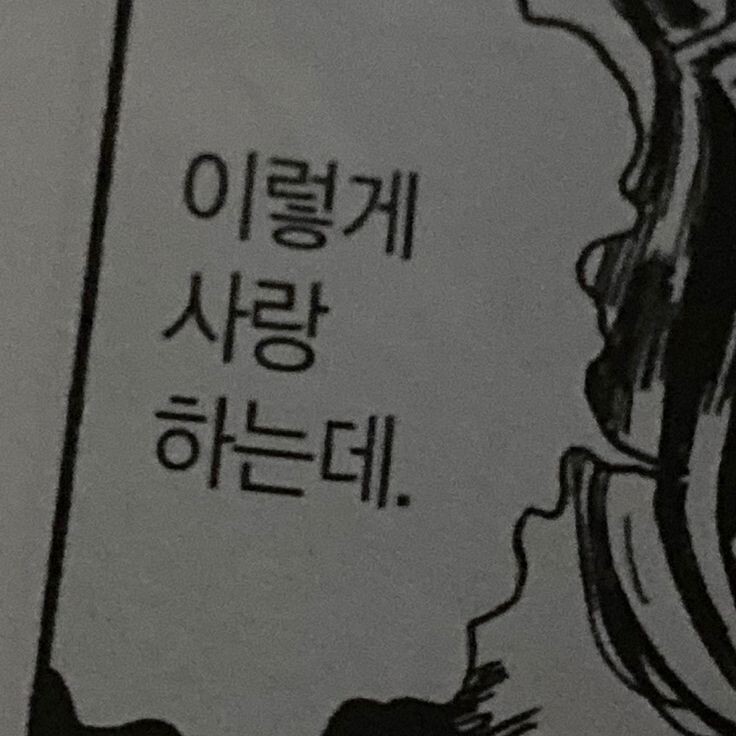 영원히 사랑하지는 않겠지만, 오늘은 사랑할게 | 인스티즈