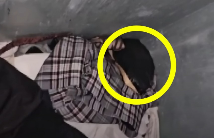  헌옷수거함 봉지 속에서 &apos;낑낑&apos;…버려진 강아지들 마지막 몸부림