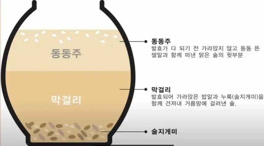  막걸리와 동동주의 차이.jpg