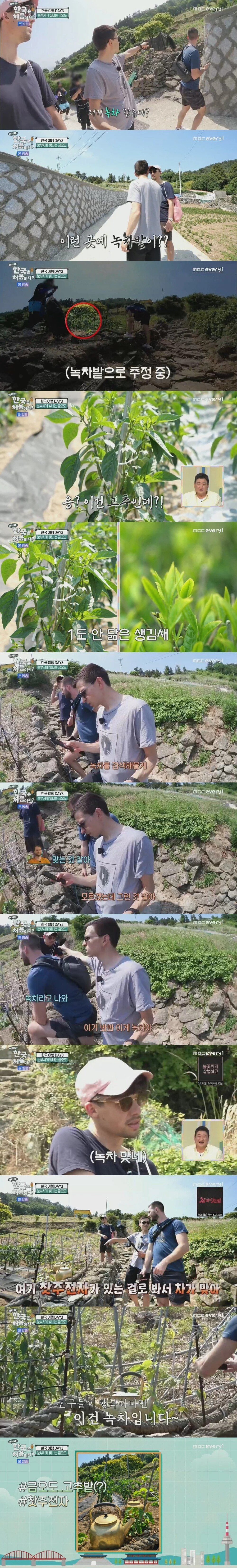 한국 여행와서 오해만 쌓고 돌아가는 독일인들.jpg | 인스티즈