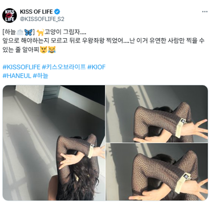 어느 순간 유연성 테스트 챌린지로 변한 그림자 고양이